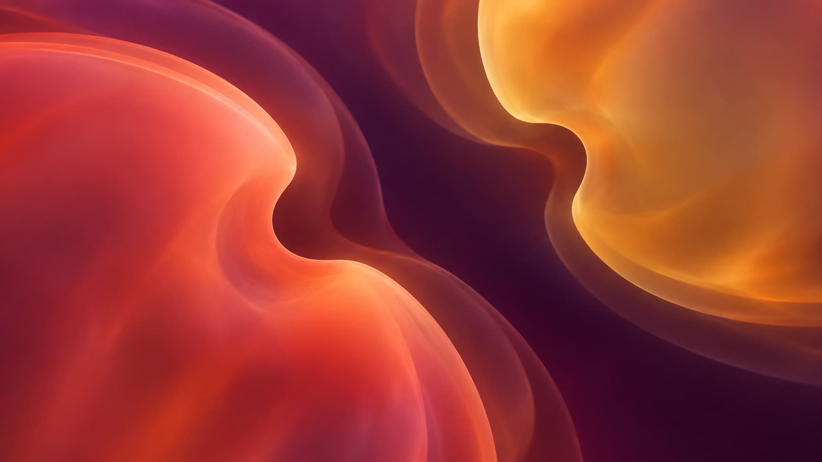 A distinctive detail is retained across two optical regions separated by a gap.